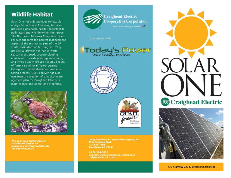 Craighead Electric Cooperative Builds Solar Array in Brookland, AR