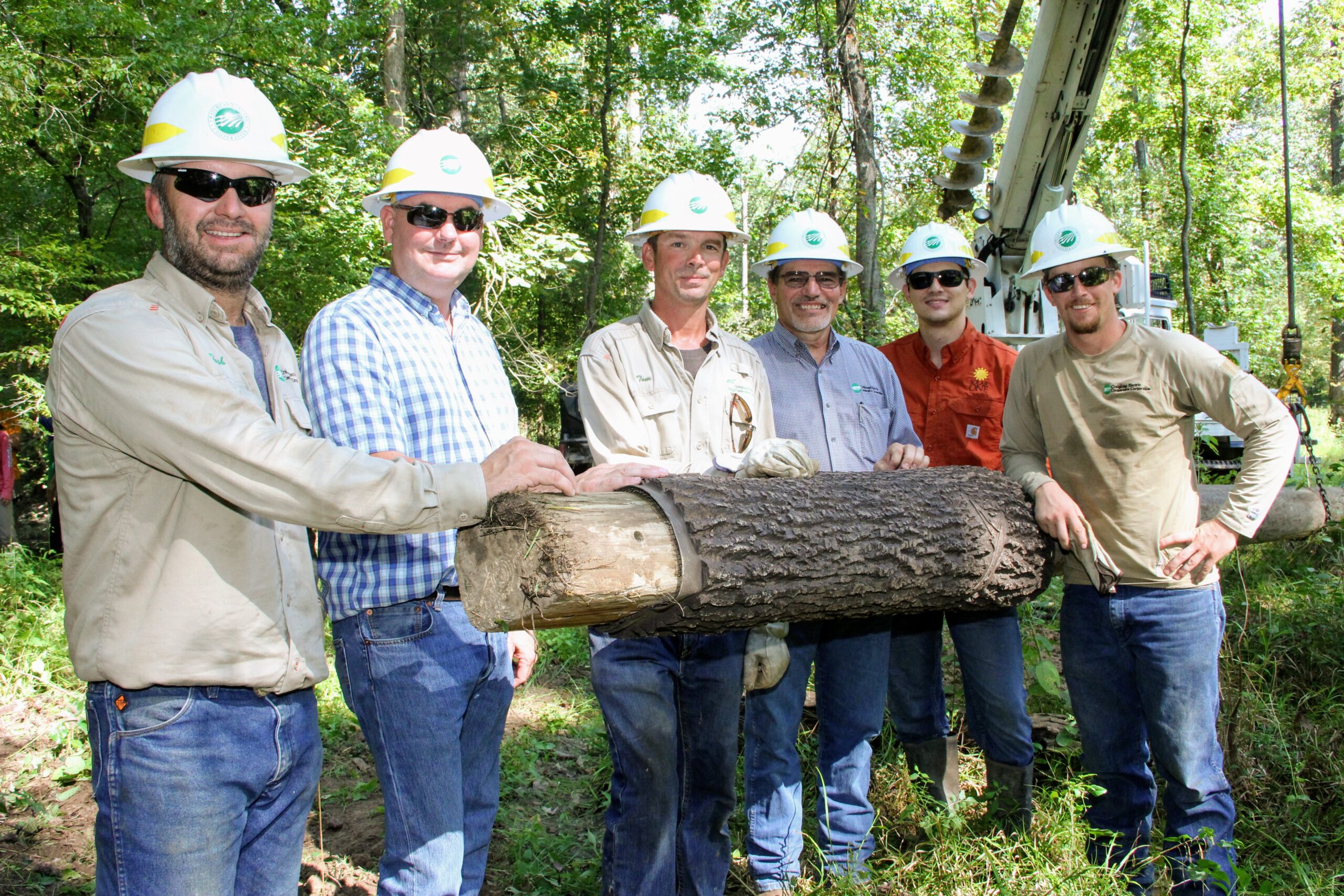 Read more about the article Craighead Electric Cooperative assists in endangered bat conservation