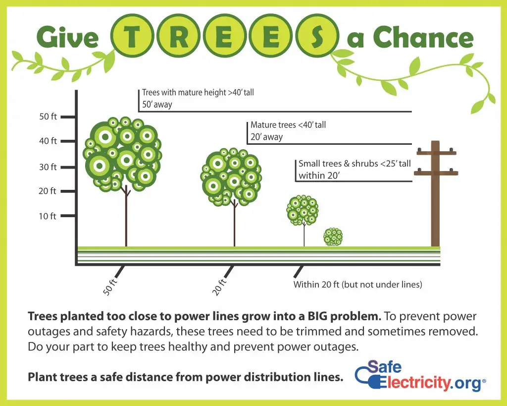 Tree Planting Graphic