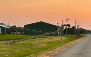 Read more about the article Craighead Electric Affected by High Winds